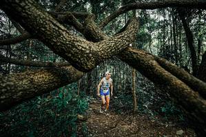 BIB: 
                            <button type="button" onclick="openModal(25665195)" class="btn btn-primary btn-sm float-right btn-popup" data-toggle="modal" data-target=".modal-high-quality">
                        <i class="fas fa-shopping-cart"></i> Add to Cart
                    </button>
                                            <button type="button" onclick="isThisMe(25665195, true)" class="btn btn-success btn-sm float-right btn-popup btn-isme hidden" data-toggle="tooltip" data-placement="bottom" title="นี่คือรูปของคุณใช่ไหม คลิกที่นี่เพื่อเอาเข้าอัลบั้ม">
                        <i class="fas fa-plus"></i> Add to album
                    </button>
                    <button type="button" onclick="isThisMe(25665195, false)" class="btn btn-warning btn-sm float-right btn-popup btn-isnotme hidden">
                        <i class="fas fa-ban"></i> Remove from album
                    </button>